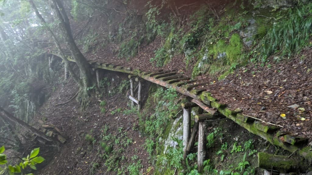 奥多摩最奥地 雲取山と長沢背稜　女性1名募集(5人パーティー）参考画像:2