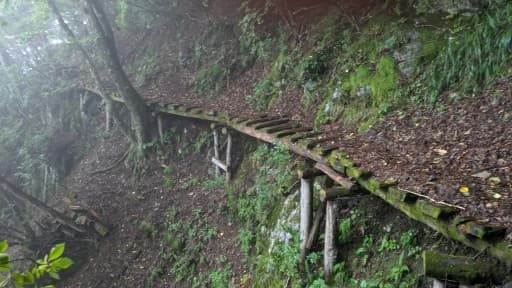 奥多摩最奥地 雲取山と長沢背稜　女性2名募集参考画像:2