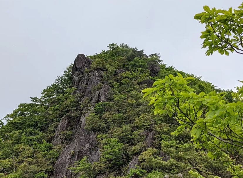 《締切》5/23(土)水沢山&子持山参考画像:1