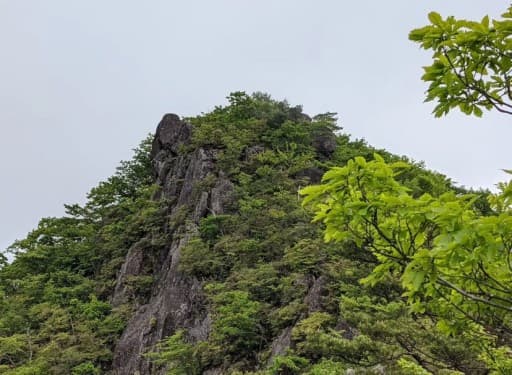 5/23(土)水沢山&子持山参考画像:1
