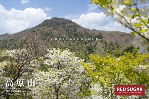 5/23(土)釈迦ヶ岳