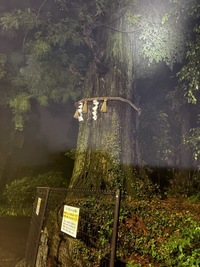 高尾山〜八王子城跡まで　ナイトハイク参考画像:0
