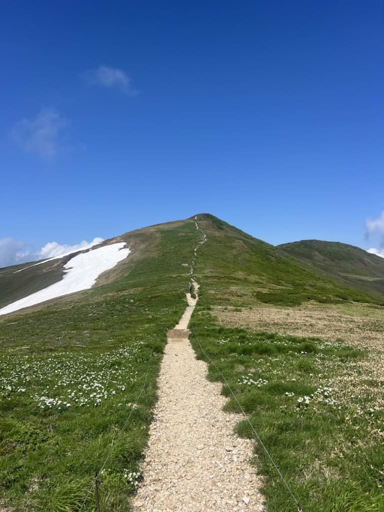 6/6(土) 平標山 仙ノ倉山参考画像:0