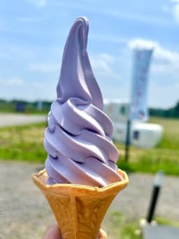 6/20（土）日本最大級ラベンダー畑・嵐山渓谷・大平山（標高179ｍ 嵐山町最高峰）