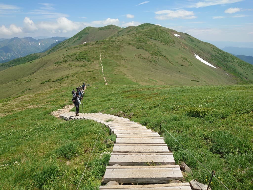 【満員御礼】6/13(土)花の百名山 平標山&仙ノ倉山(2026m) 同行者募集【所沢深夜発】参考画像:0