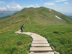 【満員御礼】6/13(土)花の百名山 平標山&仙ノ倉山(2026m) 同行者募集【所沢深夜発】