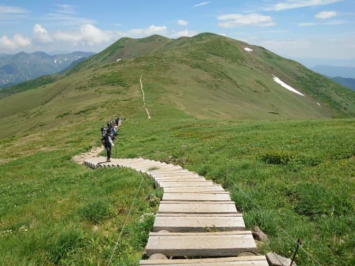 6/13(土)花の百名山 平標山&仙ノ倉山(2026m) 同行者募集【所沢深夜発】