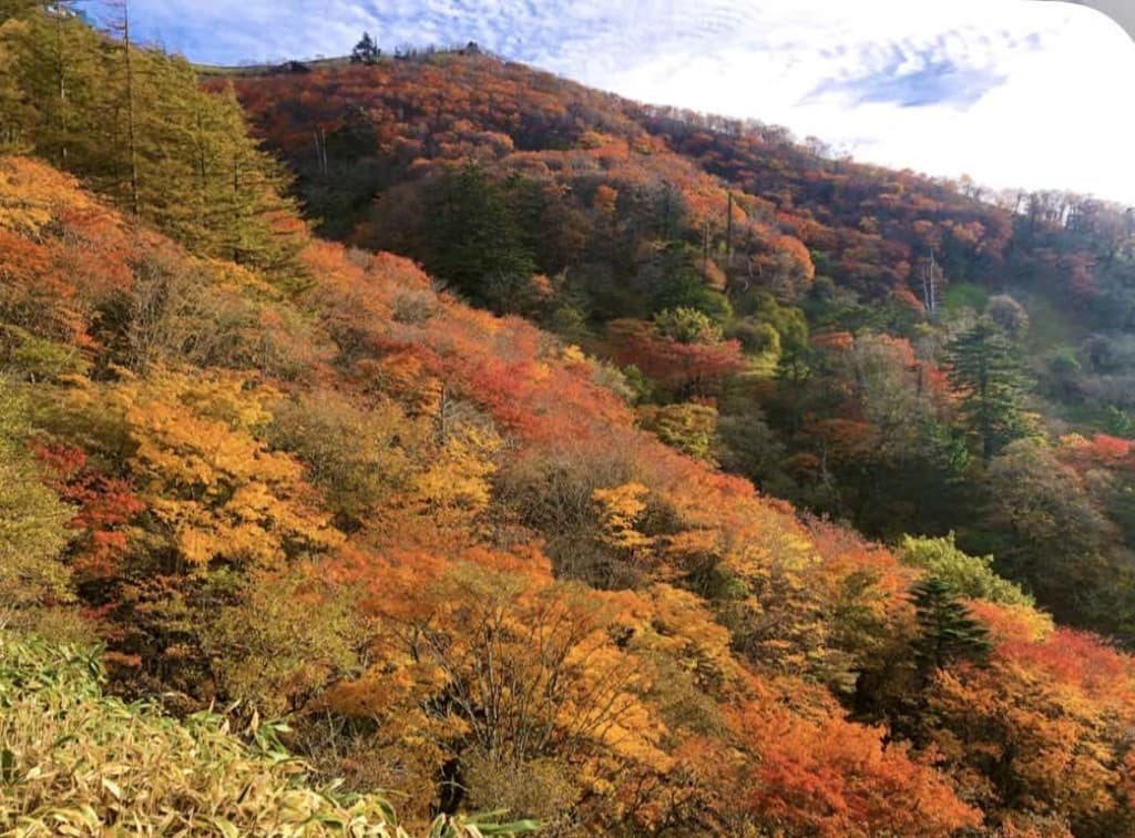 【再募集】【四国】10/24-25 石鎚山と剣山参考画像:1