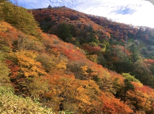 【四国】10/24-25 石鎚山と剣山参考画像:1