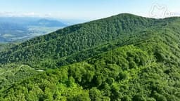 6/20 高社山&鍋倉山