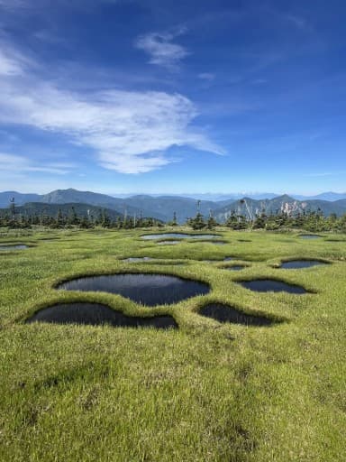7/4(土) 苗場山