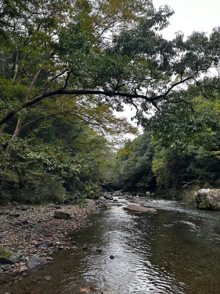 8月2日(日) 天覧山・ 多峯主山・ 吾妻峡参考画像:0