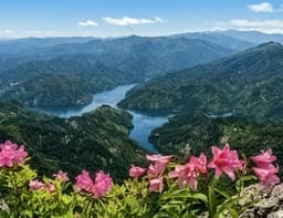 【満員御礼】7/4(土)ヒメサユリの浅草岳(日本三百名山) 同行者募集【所沢･深夜発】