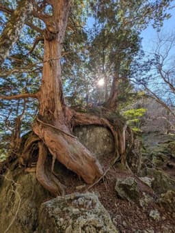 25日or26日 大阪発！大普賢岳！日帰り登山！