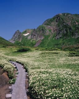 7/4(土) 秋田駒ヶ岳