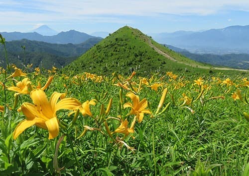 【満員御礼】7/11(土)ニッコウキスゲの飯盛山 同行者募集【西国分寺発】参考画像:2