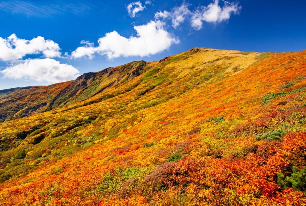 10/10-12 紅葉 栗駒山,岩手山＋α参考画像:0