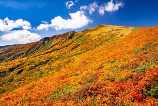 10/10-12 紅葉 栗駒山,岩手山＋α