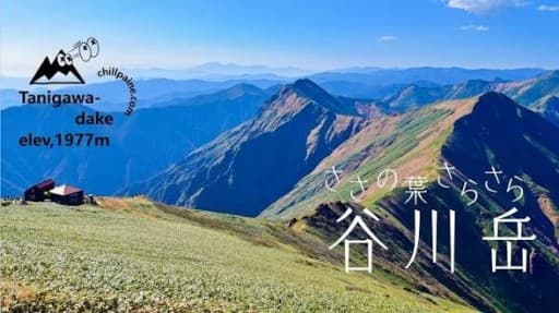 8月2日日曜、早朝集合で、谷川岳をロープウェイ登山に興味ある方