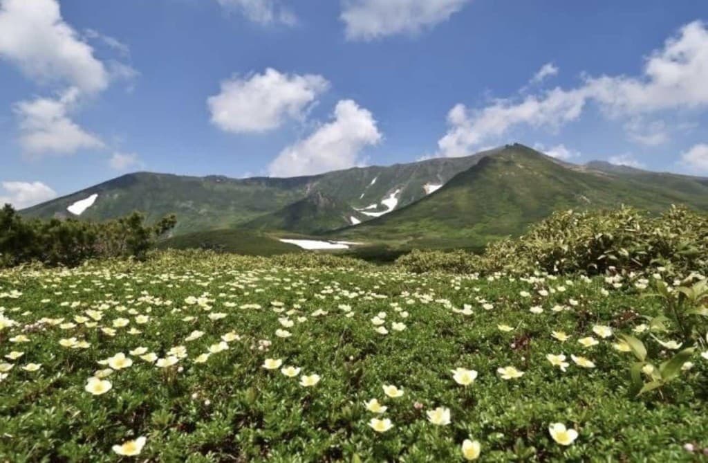 【トムラウシ山（短縮コース）日帰り】参考画像:0