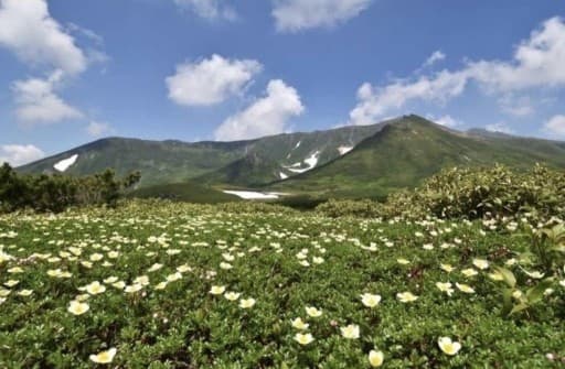 【トムラウシ山（短縮コース）日帰り】