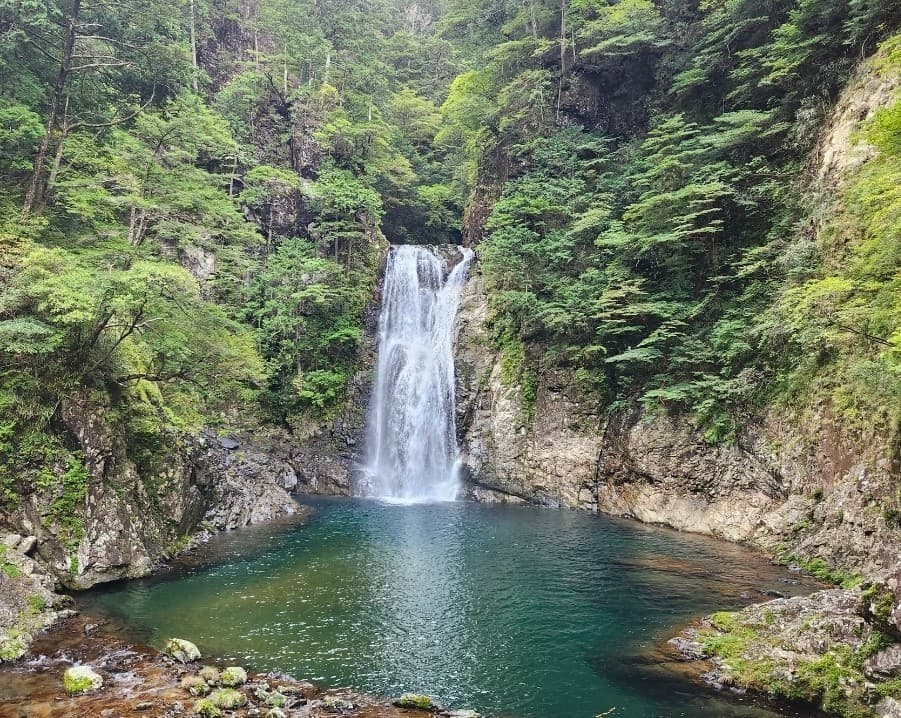 10/24(土)大杉谷登山口まで相乗りする人を募集！参考画像:1