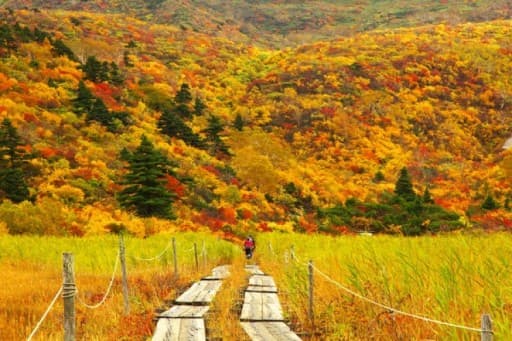 [あと1名] 10/10-12 紅葉 栗駒山,岩手山＋α