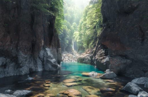 【募集】10/24(土)大杉谷の登山口まで相乗り募集❣!残席1名