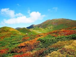 10/3(土) 月山