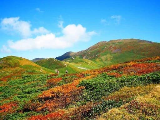 10/3(土) 月山