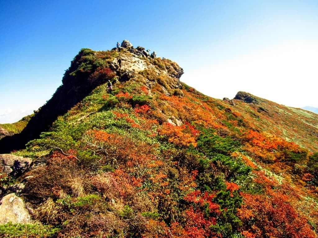 【急募】10/3(土)紅葉の谷川岳＆一ノ倉岳 同行者募集【所沢･東所沢発】参考画像:0