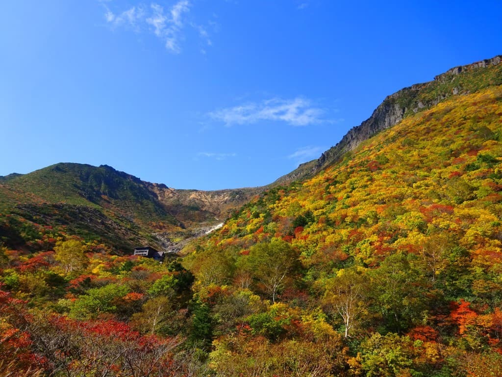 【急募】10/10(土)紅葉の安達太良山 同行者募集【所沢深夜発】参考画像:1
