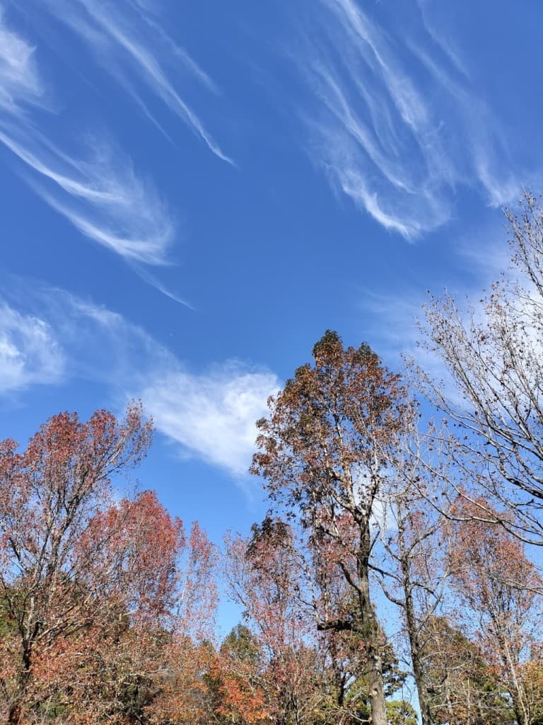 石垣島にて…参考画像:0