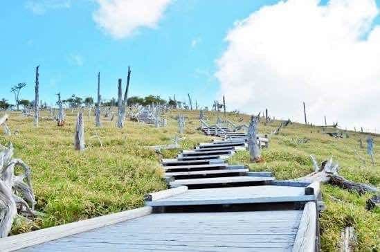 【都内発】11/21-22 八経ヶ岳、大台ヶ原参考画像:1