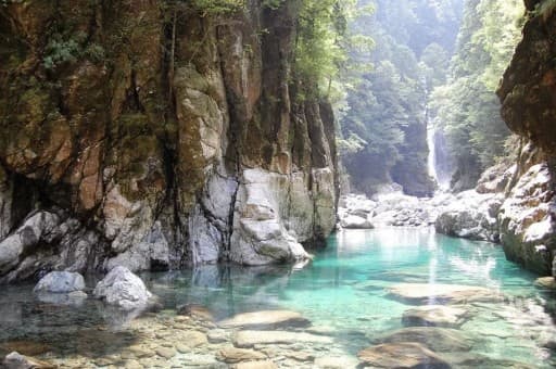 【タクシー相乗り募集】大杉谷登山口まで