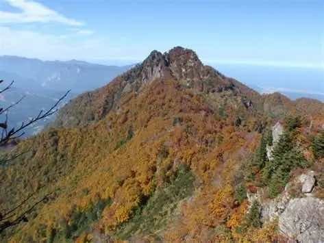 10/31(土)海谷三山🍁🍁【金曜夜発】