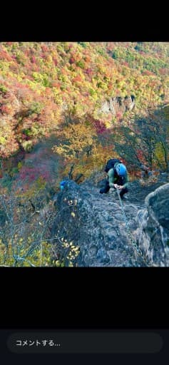 11/1(日)🍁妙義山🍁表妙義縦走[前夜新宿発]中之嶽から