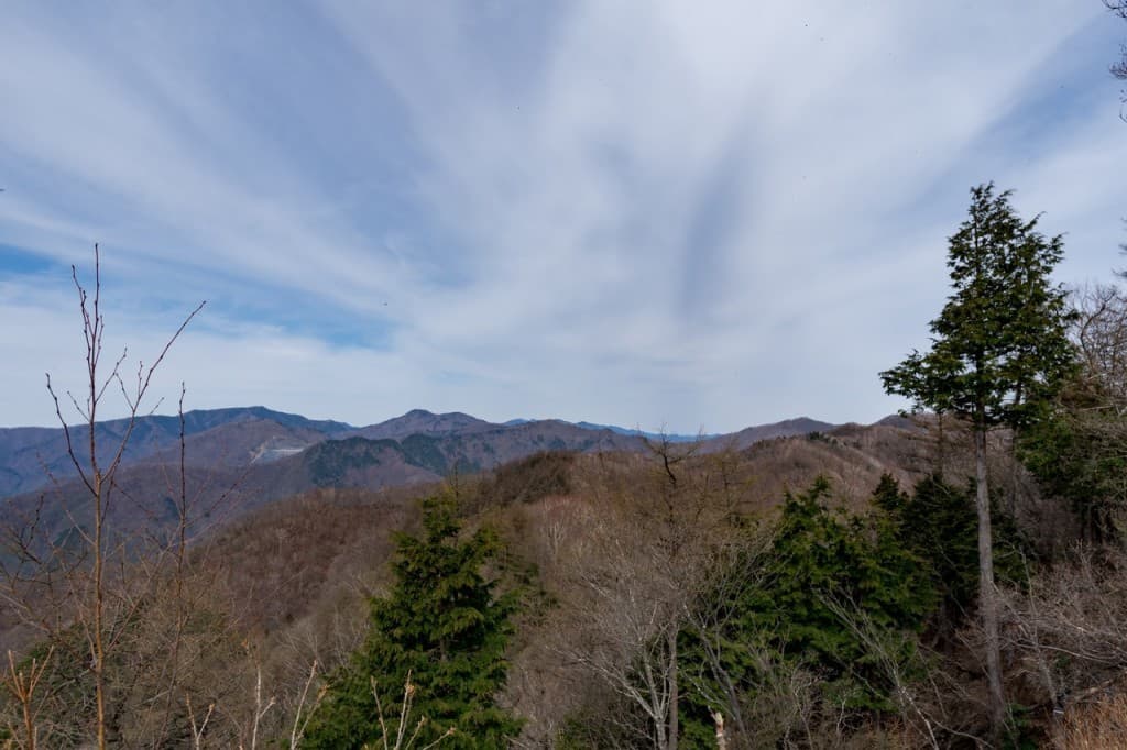 11/3(祝)→奥多摩ハイキング:天目山・酉谷山参考画像:1