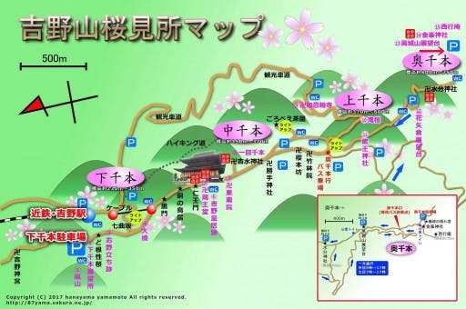【関西】三万本の桜が密集している吉野山参考画像:1