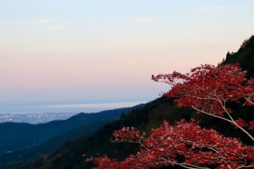【あと1名】大山の紅葉ライトアップ最終日！参考画像:0