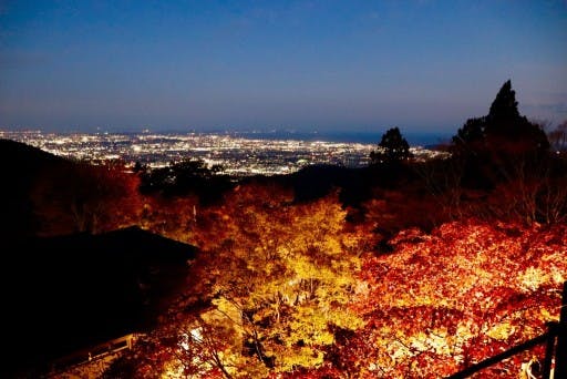【あと1名】大山の紅葉ライトアップ最終日！参考画像:2