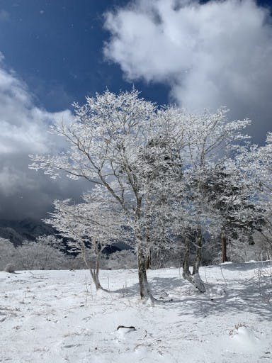 1月9日に樹氷名所、明神平に行きましょう参考画像:0
