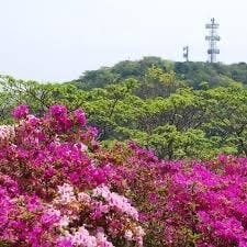 5月1日（日）三浦富士～砲台山～武山参考画像:0
