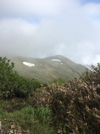 三国峠から平標山へ　花を見に参考画像:2