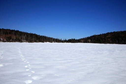 凍った白駒池を歩こう！(日帰り初級雪山・八ヶ岳)参考画像:1
