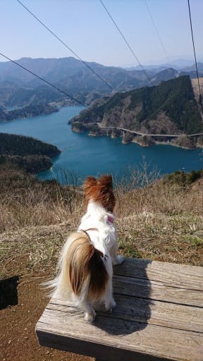 宮ヶ瀬湖周辺、仏果山に登りましょうよ!