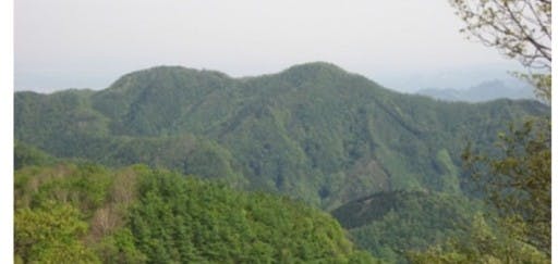 平日企画　新緑の川苔山