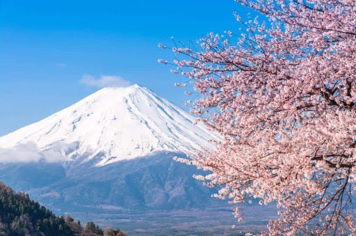 春の富士山　本格冬山技術を使って日本最高峰へ！参考画像:0