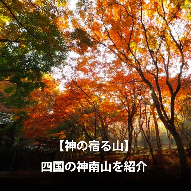 【神の宿る山】赤く輝く稲荷神社、神南山（かんなんざん）の登山コース