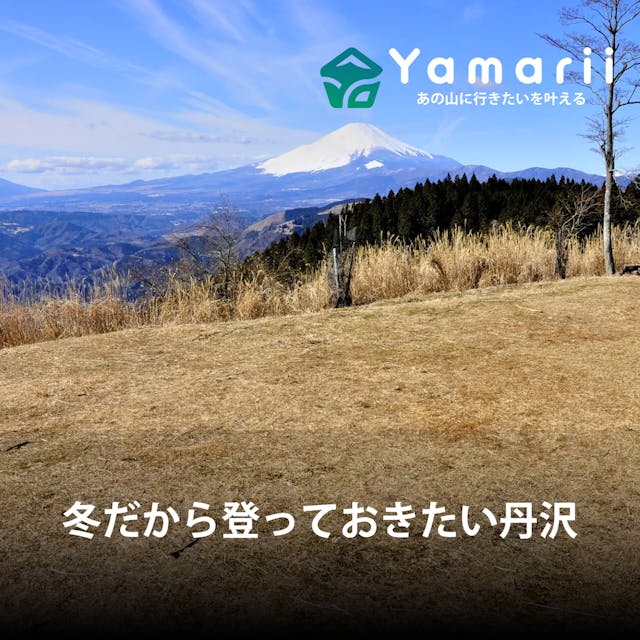 【グループ登山にもおすすめ】寒い冬に登っておきたい、丹沢のポカポカ登山コース３選